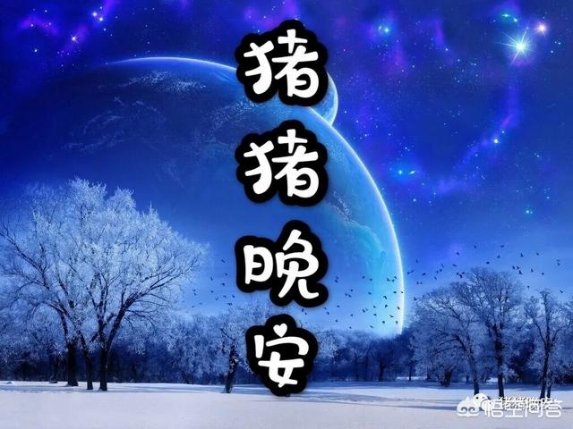故事大全 睡前故事哄女朋友（故事大全 睡前故事哄男朋友）